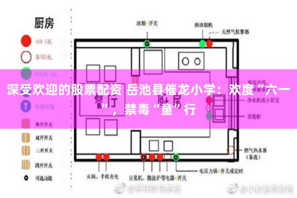 深受欢迎的股票配资 岳池县催龙小学：欢度“六一”，禁毒“童”行