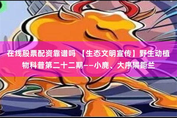 在线股票配资靠谱吗 【生态文明宣传】野生动植物科普第二十二期——小麂、大序隔距兰