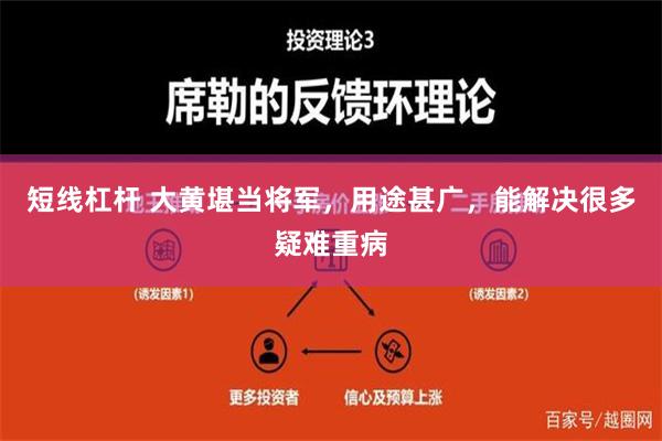 短线杠杆 大黄堪当将军，用途甚广，能解决很多疑难重病