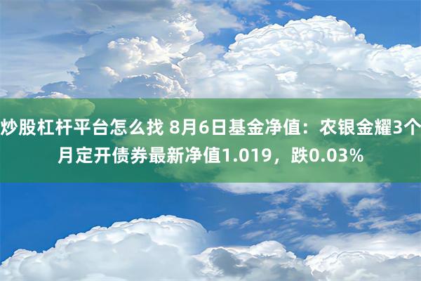 炒股杠杆平台怎么找 8月6日基金净值：农银金耀3个月定开债券最新净值1.019，跌0.03%