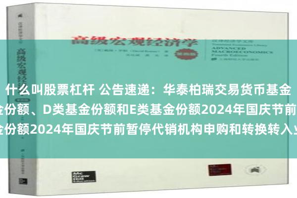 什么叫股票杠杆 公告速递：华泰柏瑞交易货币基金B类基金份额、C类基金份额、D类基金份额和E类基金份额2024年国庆节前暂停代销机构申购和转换转入业务