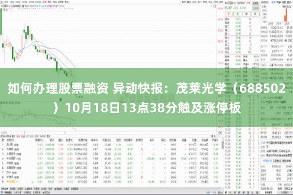 如何办理股票融资 异动快报：茂莱光学（688502）10月18日13点38分触及涨停板