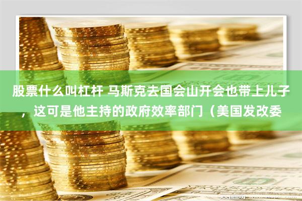 股票什么叫杠杆 马斯克去国会山开会也带上儿子，这可是他主持的政府效率部门（美国发改委