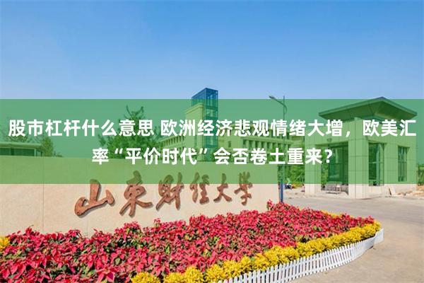 股市杠杆什么意思 欧洲经济悲观情绪大增，欧美汇率“平价时代”会否卷土重来？